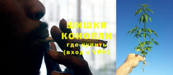 молекула духа Козельск