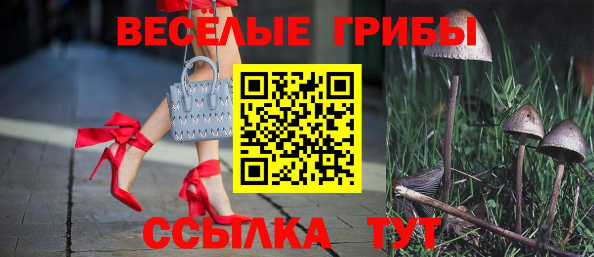 Жуковский  Галлюциногенные грибы Psilocybe  Вход с VPN  Галлюциногенные грибы ЛСД 